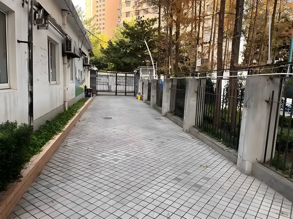 神探仙王
